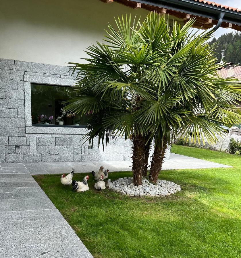 B&B Casa Il Sasso 핀졸로 외부 사진