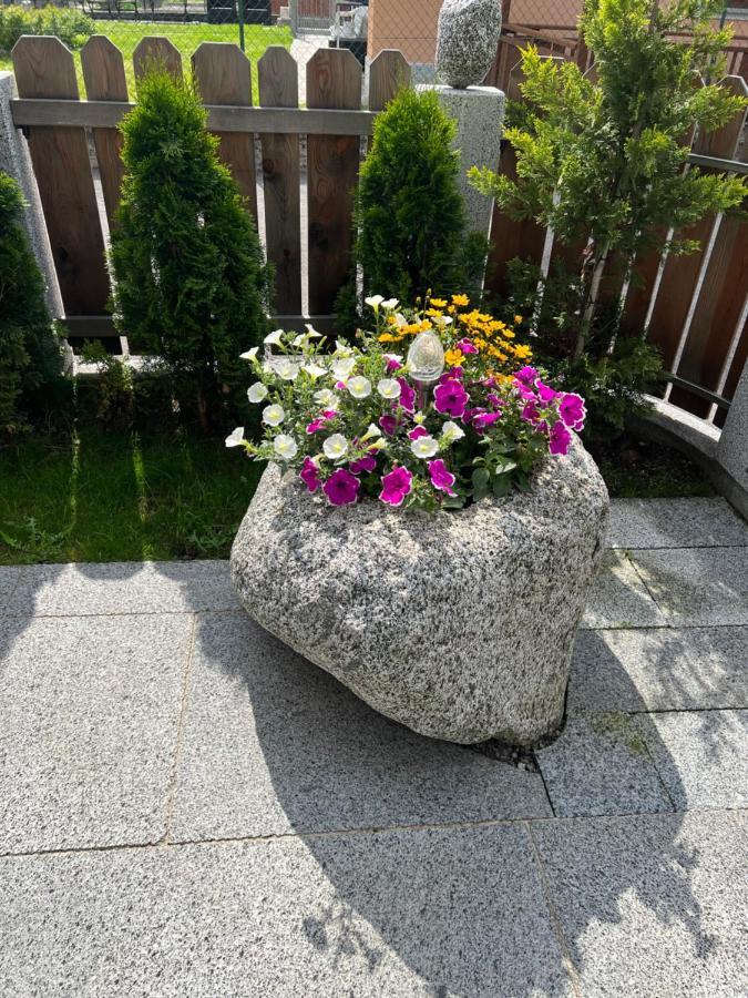 B&B Casa Il Sasso 핀졸로 외부 사진